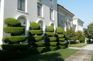 decorative-57482_1280